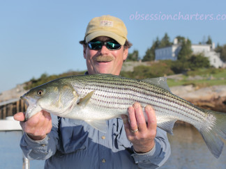 532603716a59d-2012-stripedbass-cptdave40